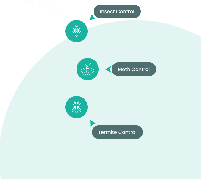 Safeguard your home with our effective pest control services